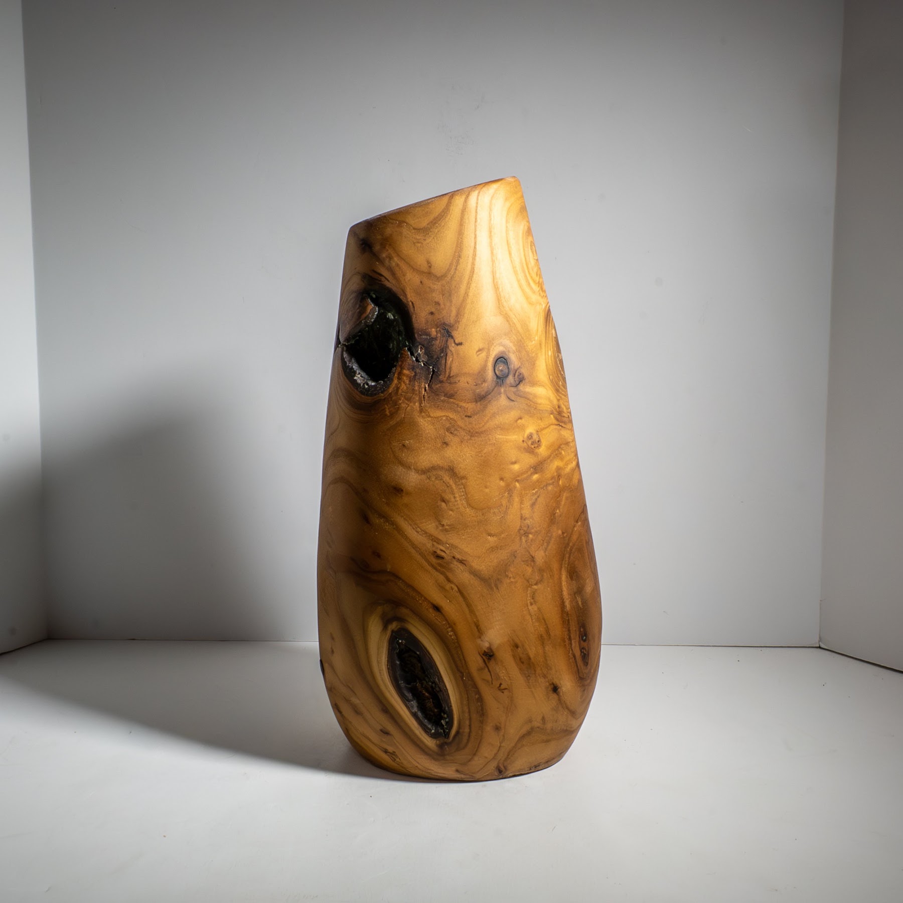 Russian Olive - North End - 15" view 4