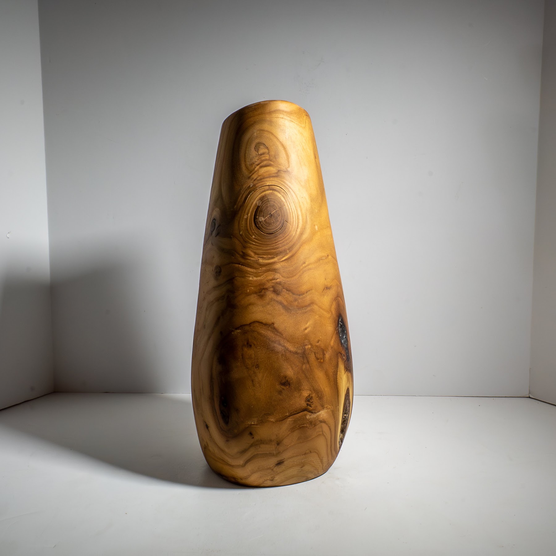 Russian Olive - North End - 15" view 2