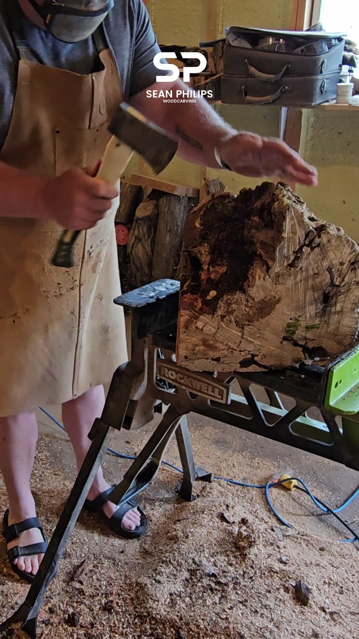 Carving Manitoba Maple Burl - St. Boniface - 15"