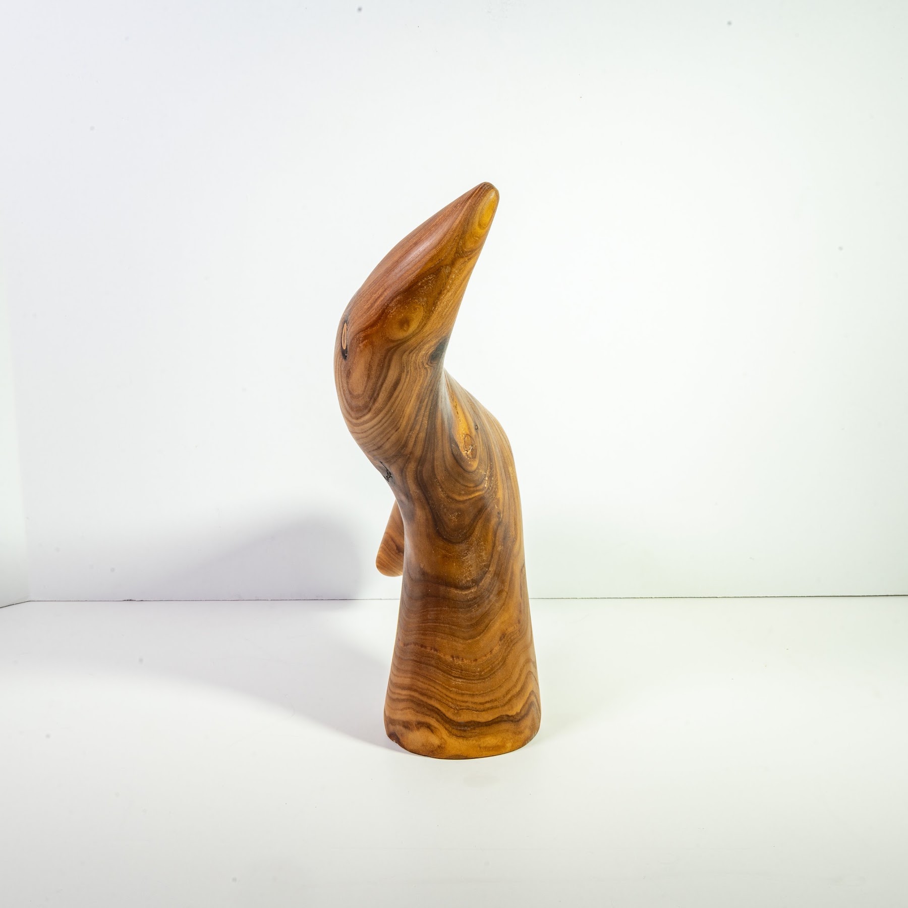 Russian Olive - North End - 12" view 3