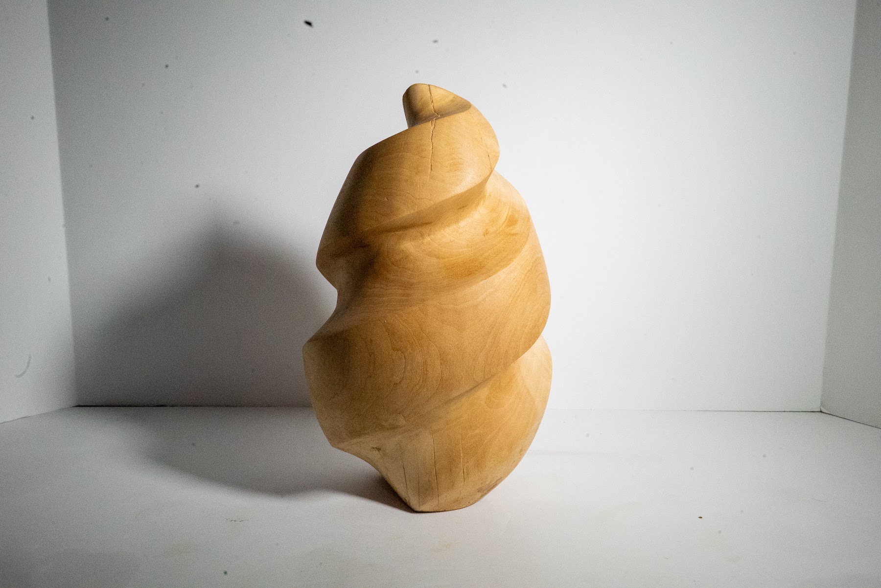 Basswood Egg · February 2025 view 1