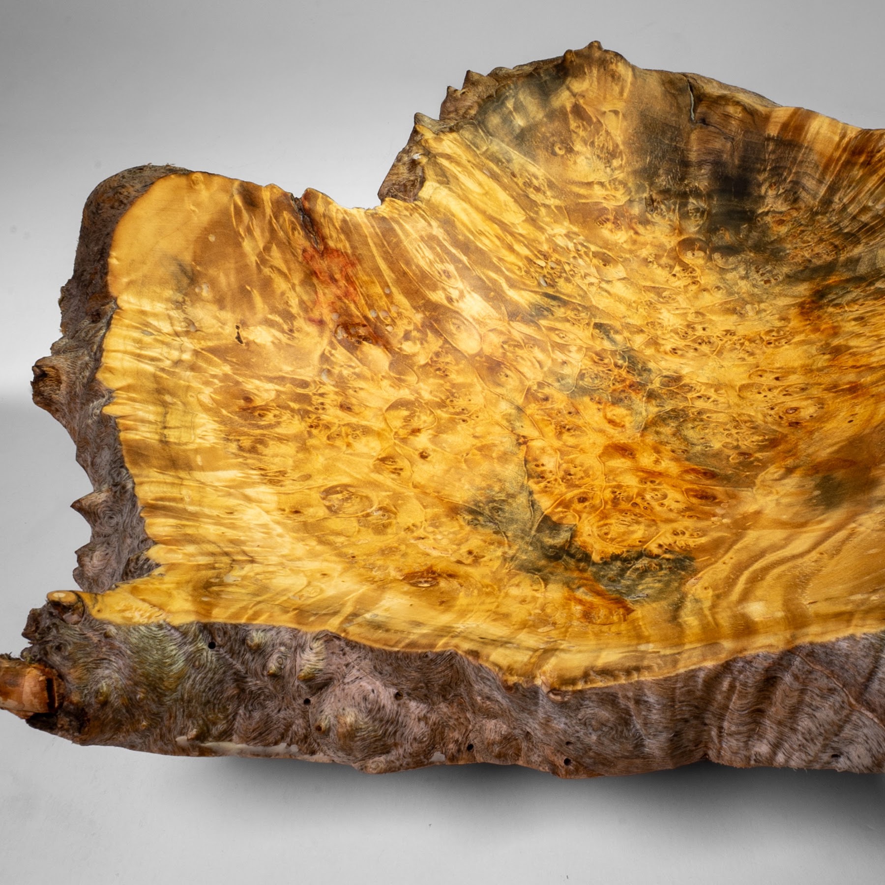 Manitoba Maple Burl - St. Boniface - 15" view 5