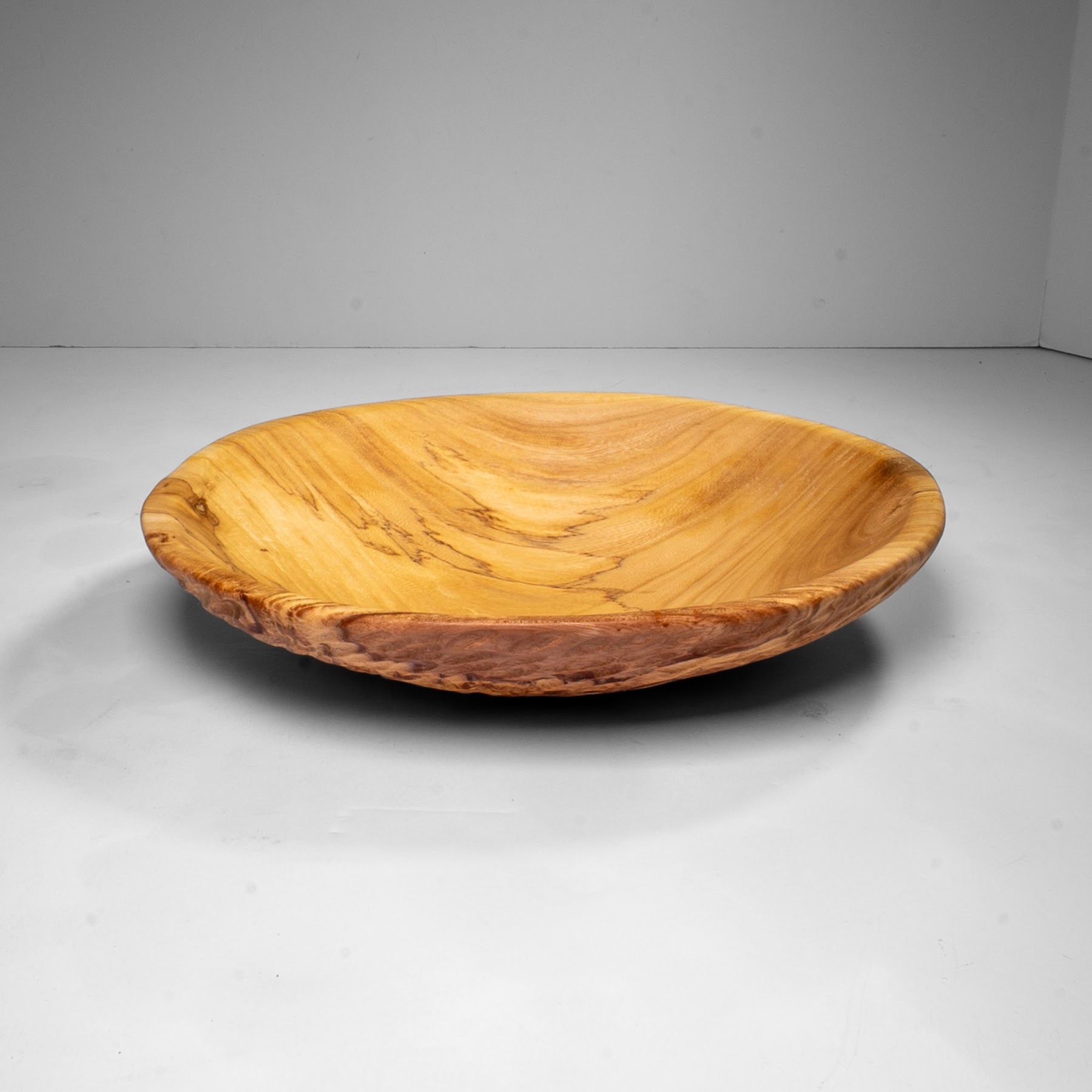 Siberian Elm - Scotia Heights - 14"