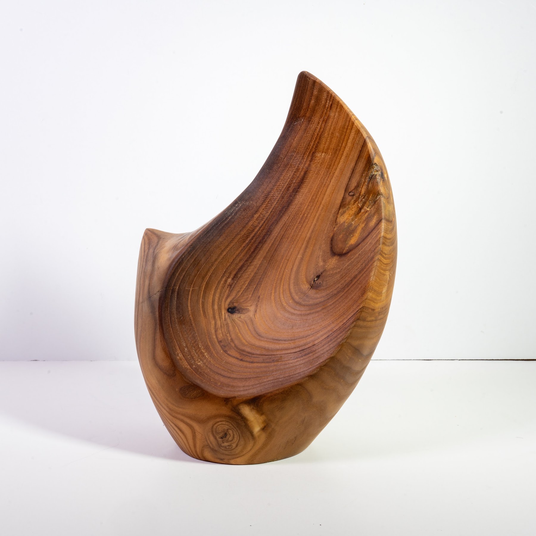 Russian Olive - North End - 14" view 5