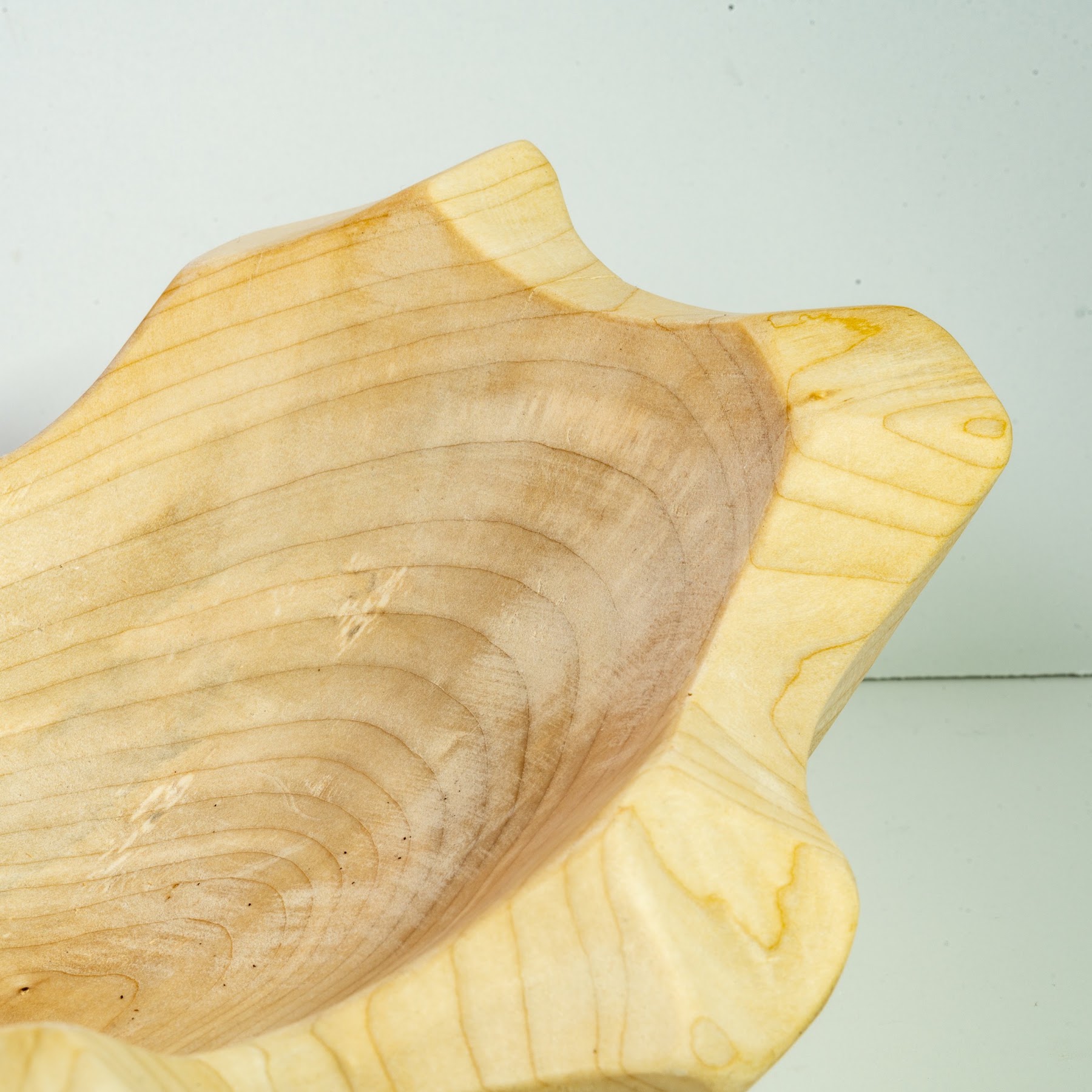 Silver Maple - Tuxedo - 12" view 7