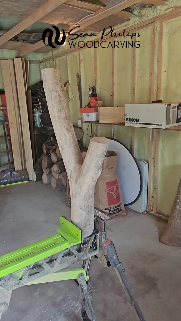 Carving Ash - Gimli - 29"