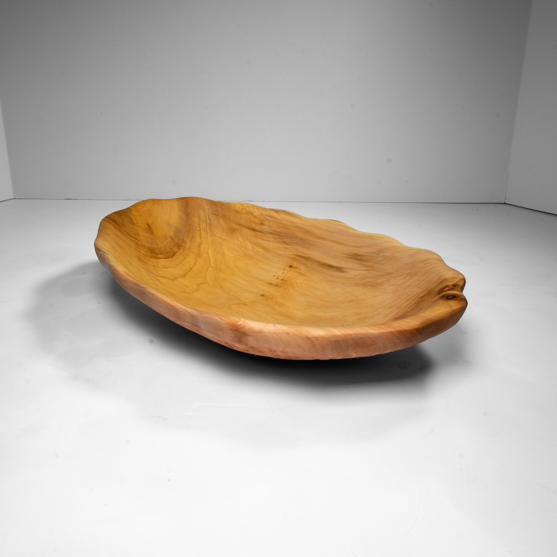 Manitoba Maple - St. Boniface - 12" view 3