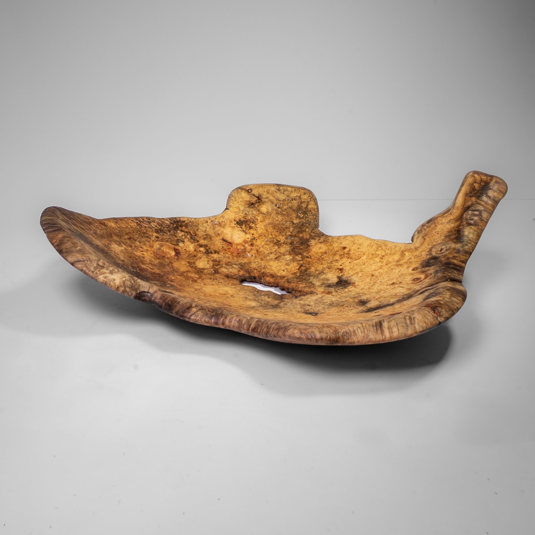 Manitoba Maple Burl - St. Boniface - 15" view 8