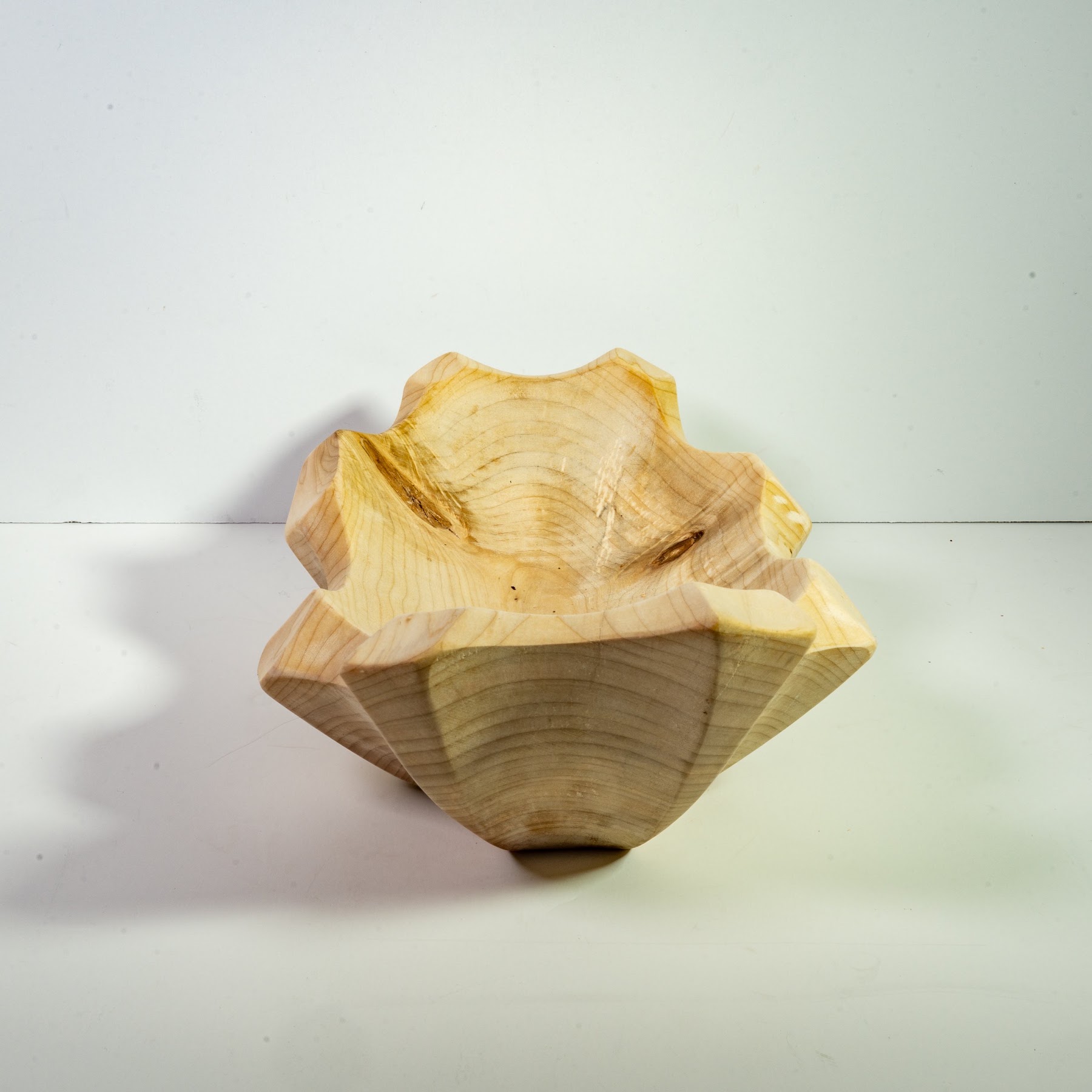 Silver Maple - Tuxedo - 12" view 3