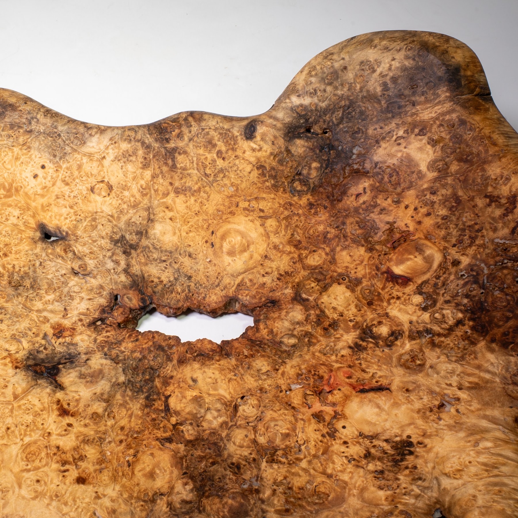 Manitoba Maple Burl - St. Boniface - 15" view 5